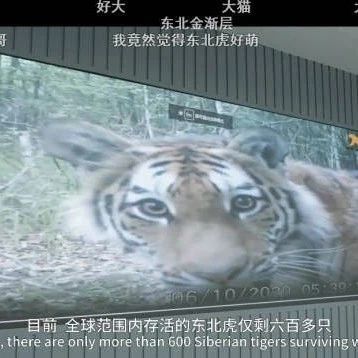 【光电智造】华为发布新一代摄像机：“机器视觉”可以这样玩