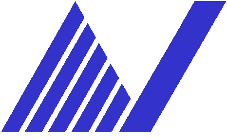 南丰电子(NANFENG) Logo
