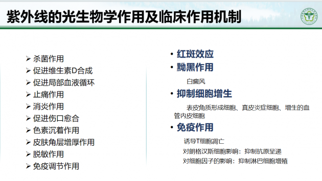 中国医学科学院顾恒：皮肤病光疗的应用与进展