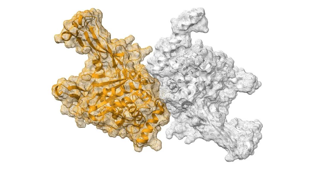 Qubit Pharmaceuticals 借助混合量子计算加速药物研发