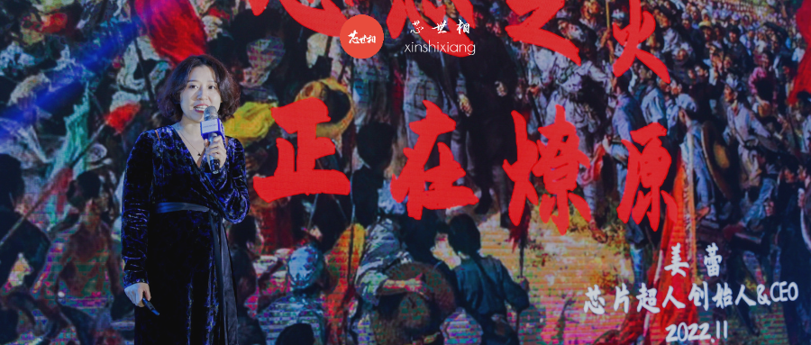 从星火到燎原——我眼中的三年芯片行情