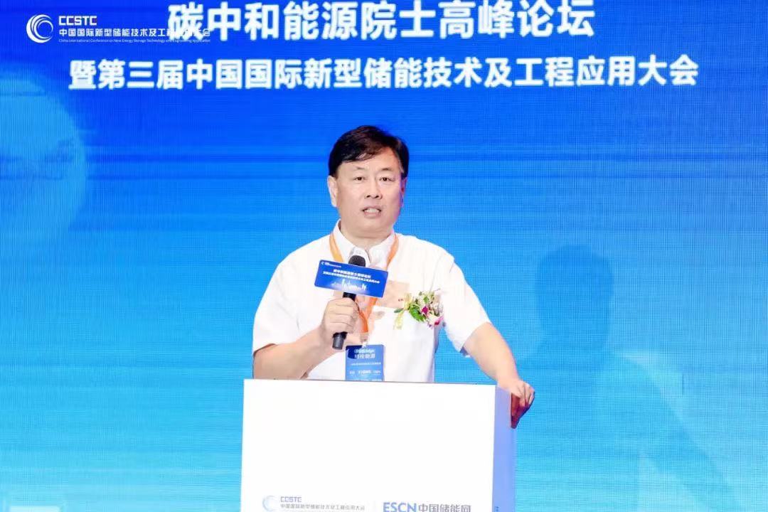 中国化学与物理电源行业协会秘书长王泽深：2023年上半年我国储能项目投运装机规模超2022年全年总和