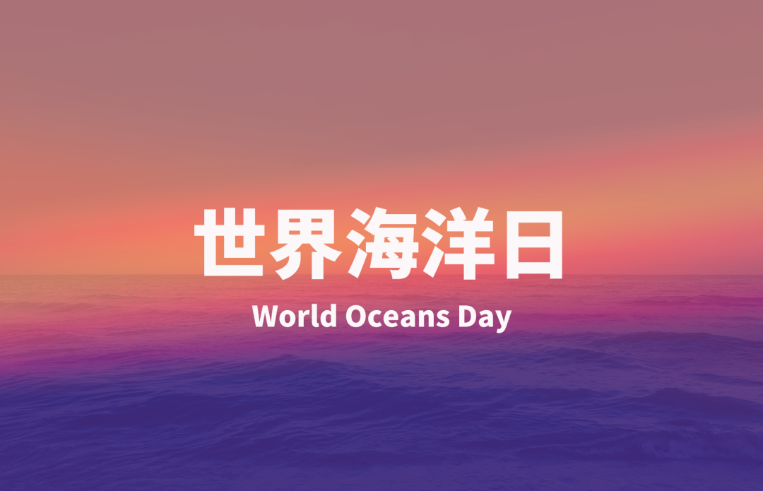 世界海洋日 | 5G守护大海，芯讯通探索未来