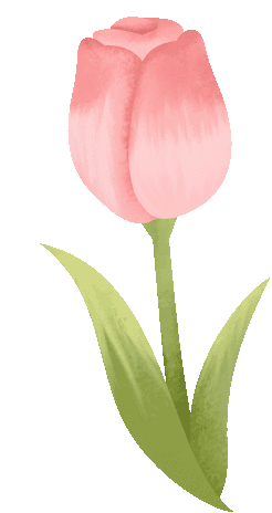 “芯”花绽放，向美而生，女神节快乐