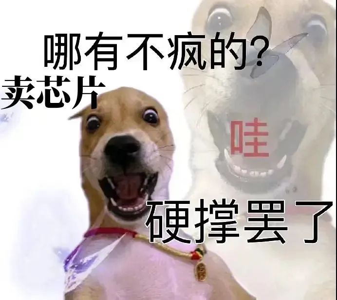 卖芯片哪有不发疯的！硬撑罢了！
