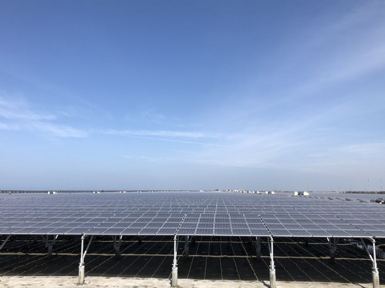 印度称2026年太阳能产能达100GW 目标成领先设备出口国