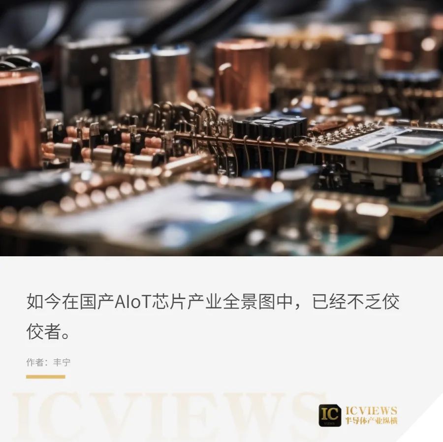 国产AIoT芯片，细分出龙头