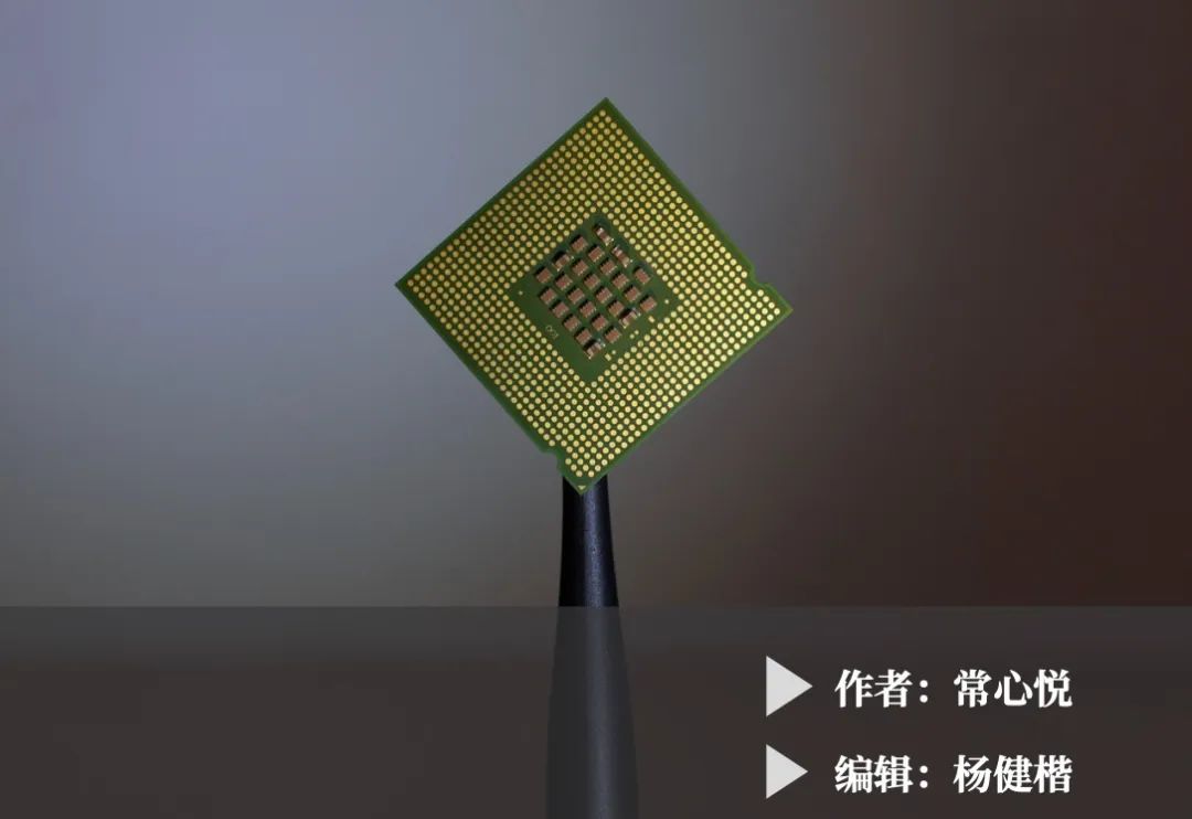 血色浪漫：射频局中局