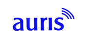 auris-GmbH