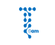 捷忞(teamelectron) Logo