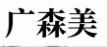 广森美科技 Logo