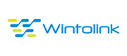 允通(Wintolink) Logo