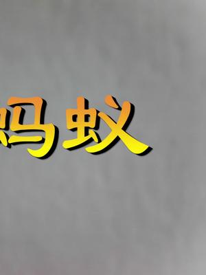 放大镜下的世界：蚂蚁和蚊子