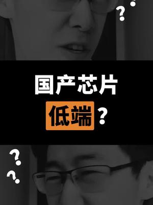国产芯片太低端？？抖进科学 科普