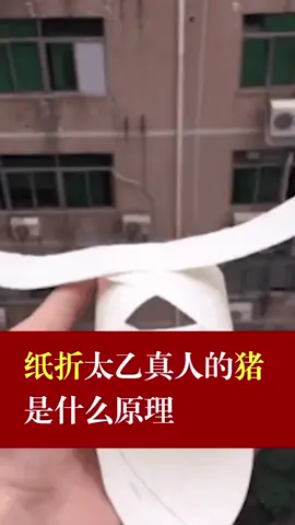 纸折太乙真人的猪是什么原理？？？纸飞机 我要上热门