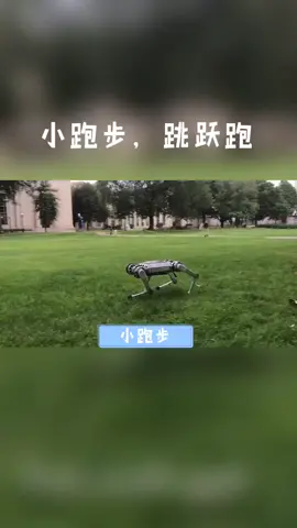 这只仿生机械狗跑步了，小跑步，跳跃跑，急速跑，效果非常真实，关键是还推不倒仿生机器人 机器人