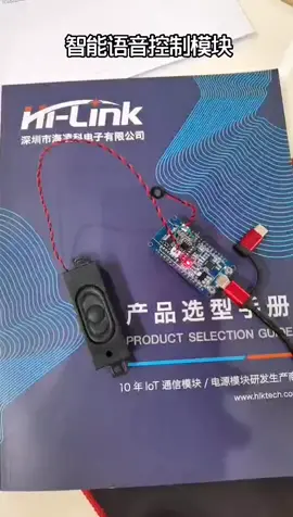 智能语音模块