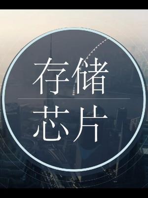 半导体研究系列之存储芯片：TWS等用NOR FLASH国产替代商兆易创新