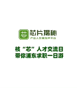 核心人才交流日，带你浦东求职一日游芯片揭秘 芯片