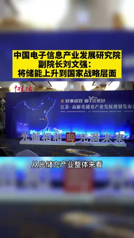 中国电子信息产业发展研究院副院长刘文强：将储能上升到国家战略层面。新能源 发展 光伏