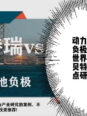 深度研究动力电池负极材料-贝特瑞、杉杉股份