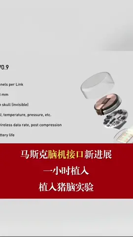 马斯克脑机接口新进展，一小时植入，已进行植入猪脑实验 马斯克 马斯克脑机接口