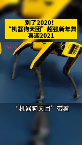 2020的最后一天，机器狗天团带着它的新年舞蹈迎接2021啦！2020最后一天 元旦 2021