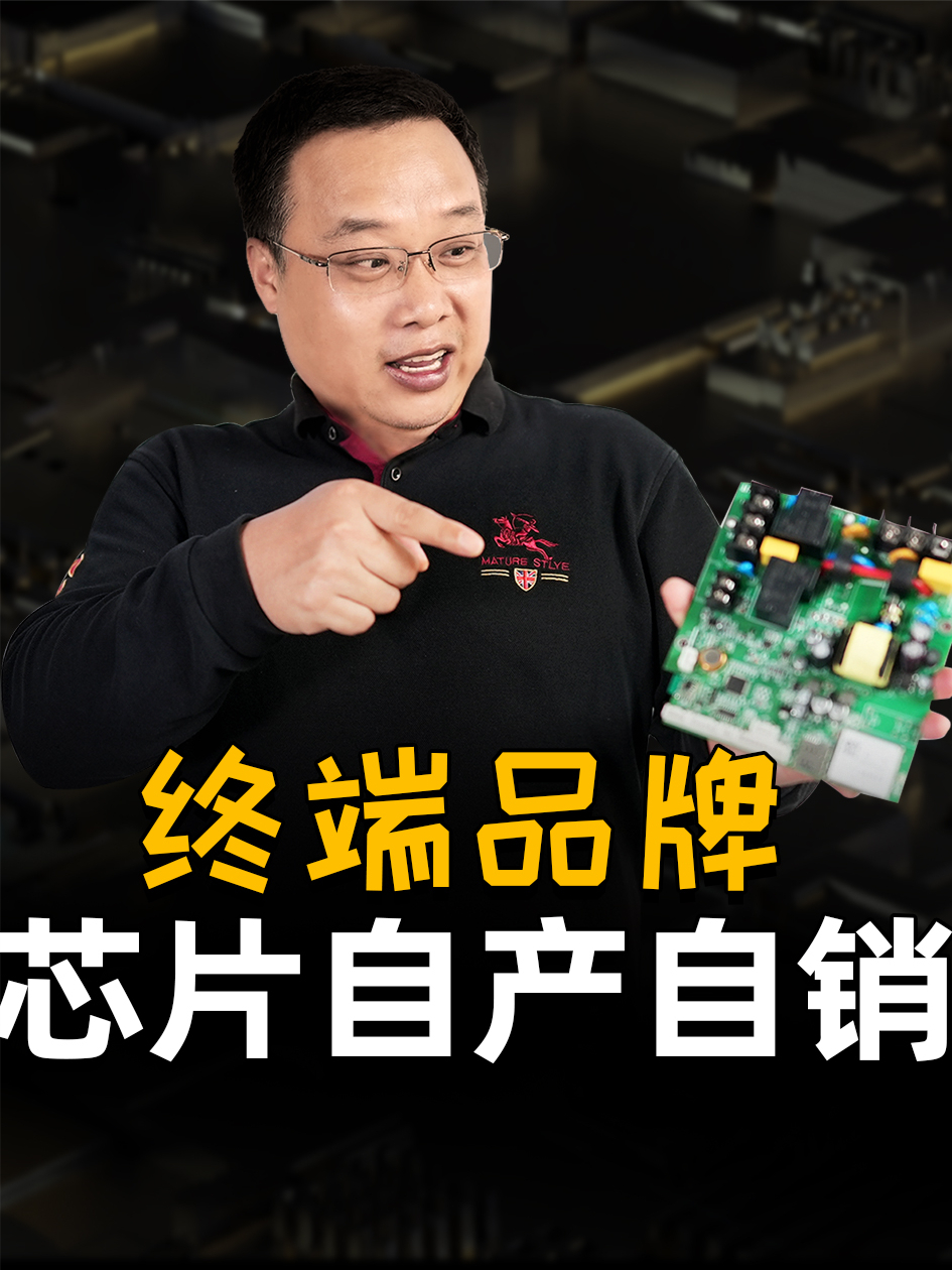 终端自己投一个芯片公司到底好不好