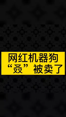 机器狗波士顿动力谷歌现代SpotMini 网红机器狗“叒”被卖了！！！