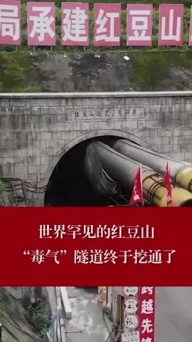 世界罕见的红豆山“毒气”隧道终于挖通了铁路 大理 隧道