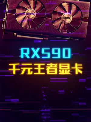 千元显卡？谁才是赢家？这个视频有点料 轻知识计划