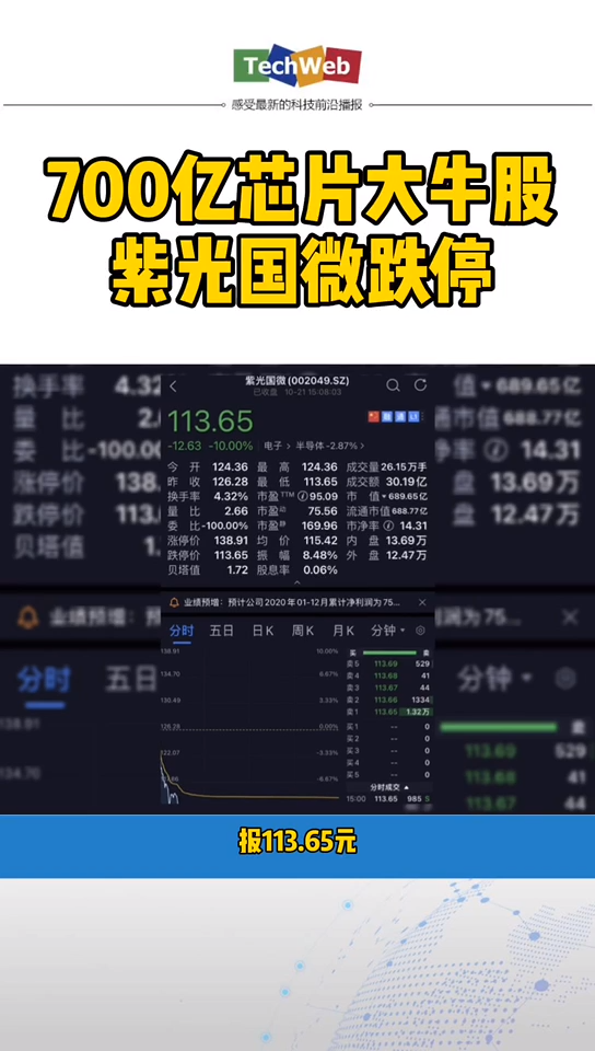 700芯片大牛股 紫光国微 跌停