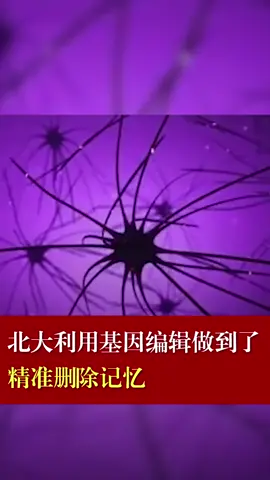 记忆 基因 如果可以，你愿意删除自己的记忆吗